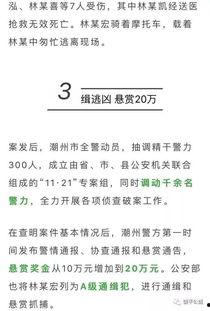 潮州爆料曝光案件最新,最新曝光案件震惊公众，真相即将揭晓！