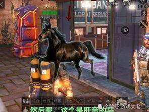 明日之后最新爆料内容怎么看,新爆料揭示生存世界新篇章