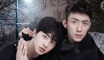 馨馨娱乐爆料最新消息,最新热点事件揭秘