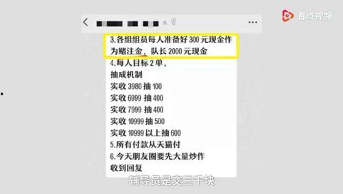 厦门爆料打卡事件最新,揭秘网红打卡地背后的真相与争议